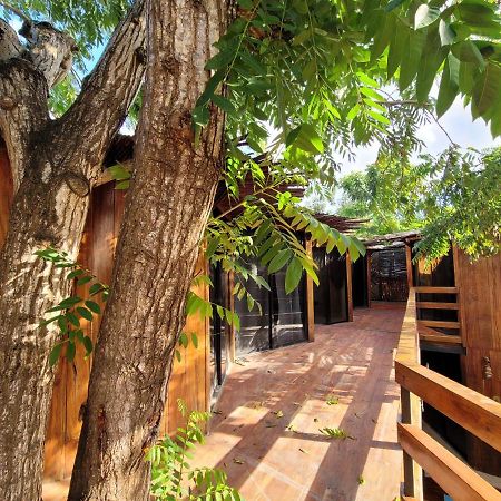 Malakai Hostel Tulum Dış mekan fotoğraf